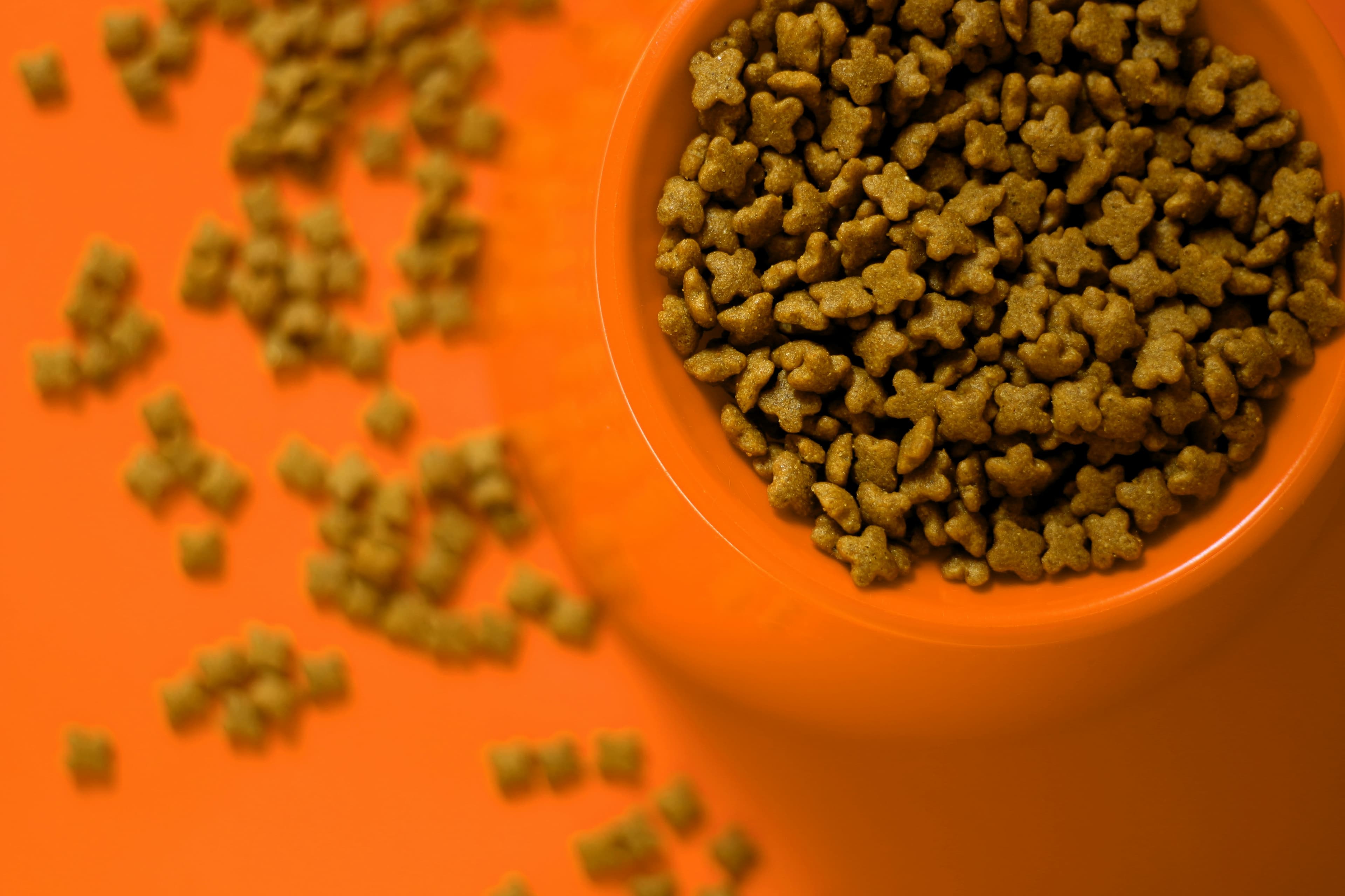Pet Food Solutions