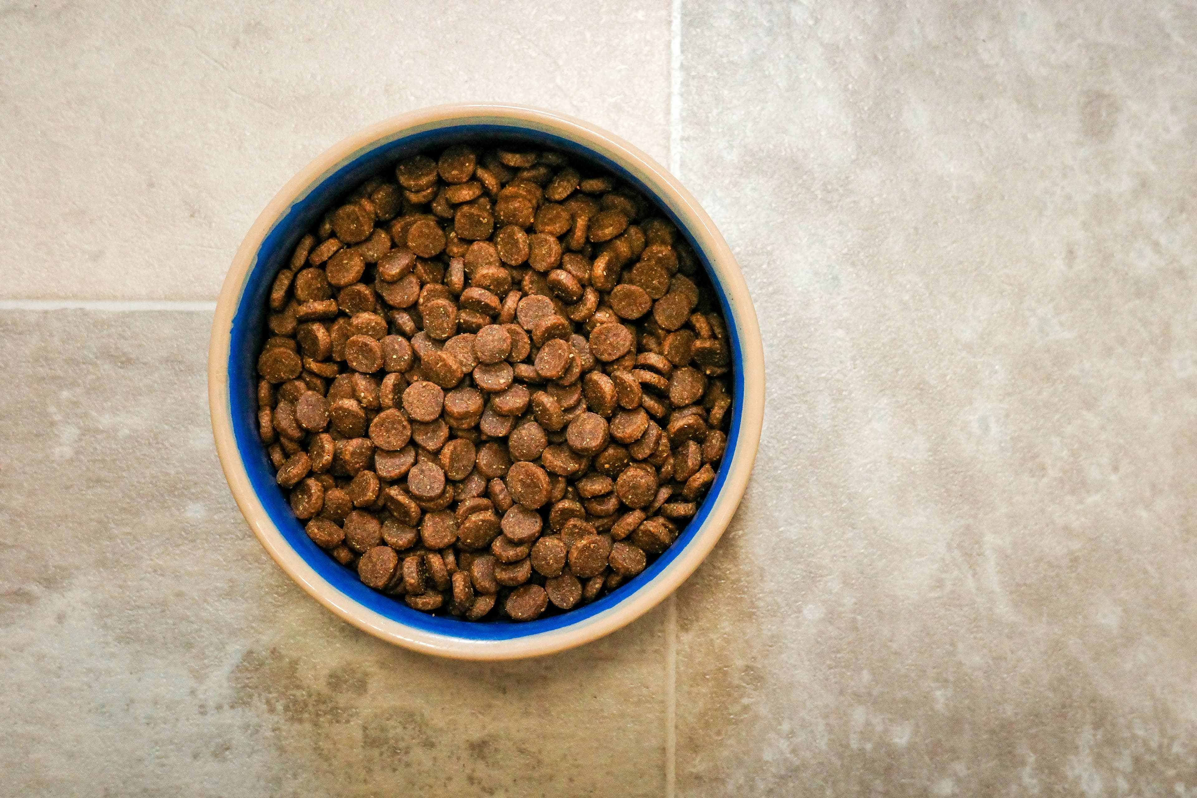 Premium Dry Kibble background