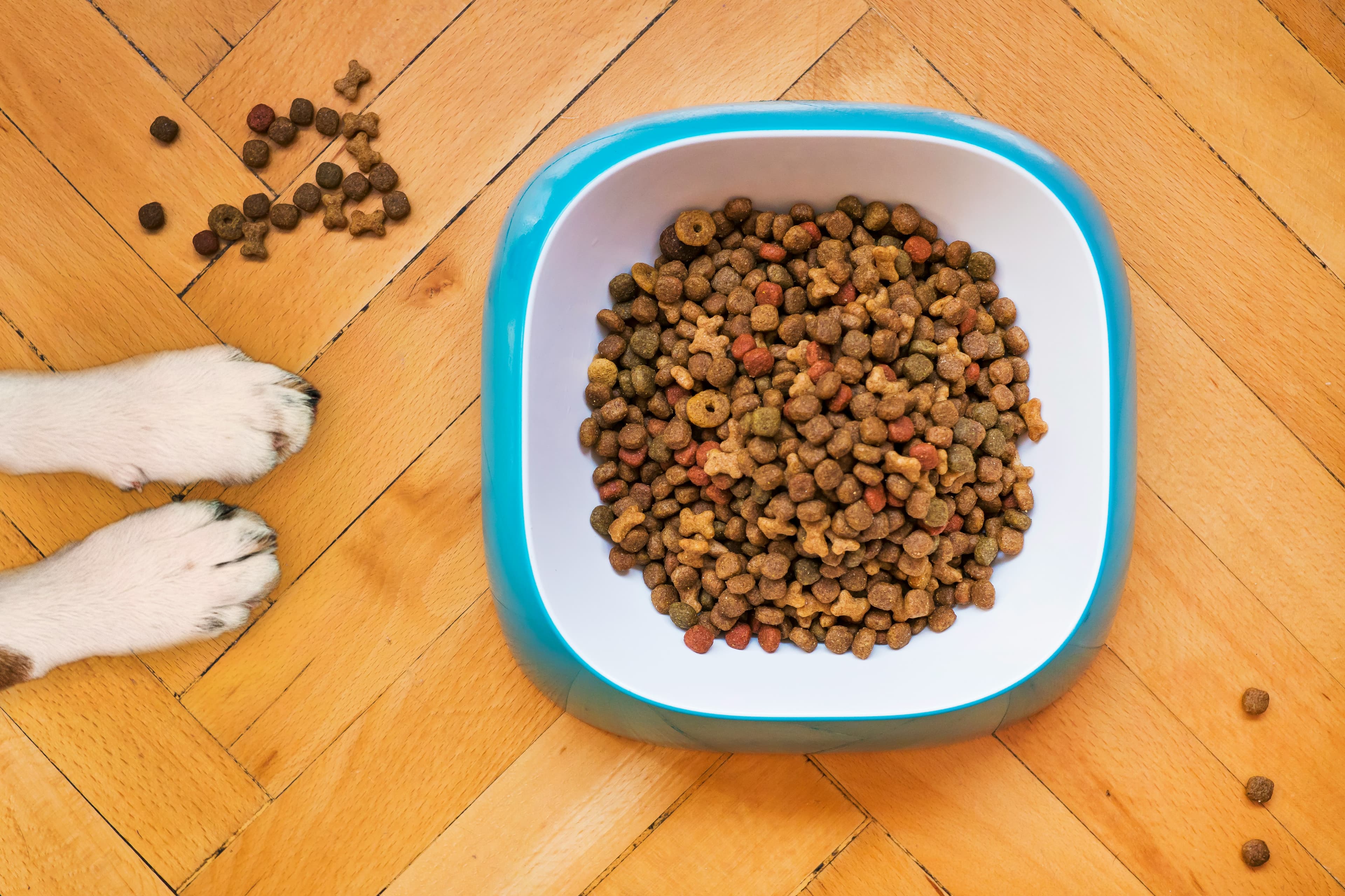 Wet Food & Canned Products background