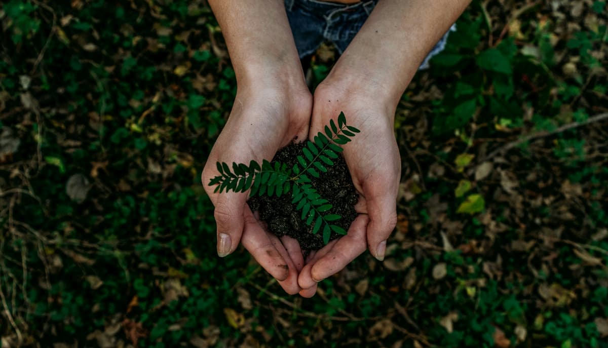 Sustainable soy farming and green practices